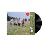 aphaca_magna_lp