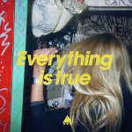 av_av_av_everything_is_true__ep_vinyl