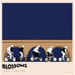 blossoms_cool_like_you_lp