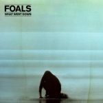 foals_what_went_down_cd