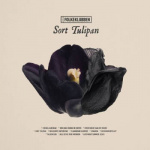 folkeklubben_sort_tulipan_cd_lp_vinyl