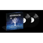 onerepublic_dreaming_out_loud_2lp