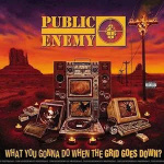 public_enemy_what_you_gonna_do_when_the_grid_goes_down_lp