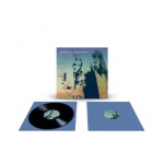 robert_plant__alison_krauss_raise_the_roof_2lp