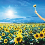 stone_temple_pilots_thank_you_lp