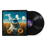 tears_for_fears_songs_for_a_nervous_planet_2lp
