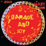 the_jesus_and_mary_chain_damage_and_joy_cd