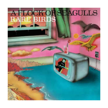a_flock_of_seagulls_rare_birds_-_a_flock_of_seagulls_lp
