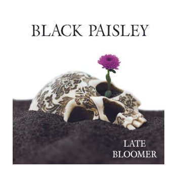black_paisley_late_bloomer_lp