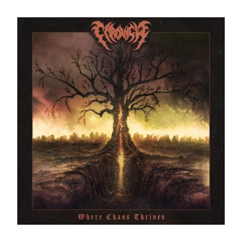 chronicle_where_chaos_thrives_lp