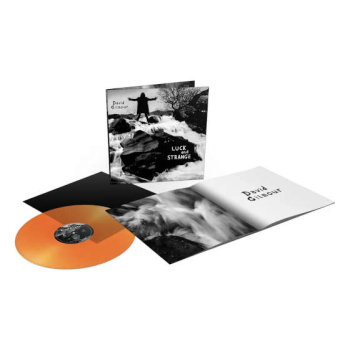 david_gilmour_luck_and_strange_-_orange_crush_vinyl_lp