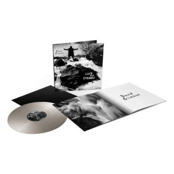 david_gilmour_luck_and_strange_-_silver_vinyl_lp