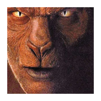 john_fogerty_eye_of_the_zombie_lp