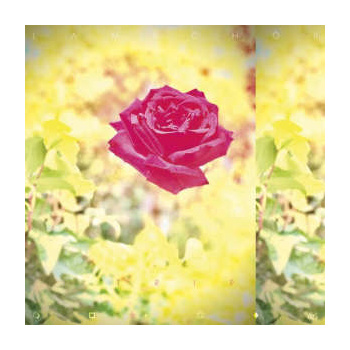 lambchop_this_-_sun_yellow_vinyl_lp