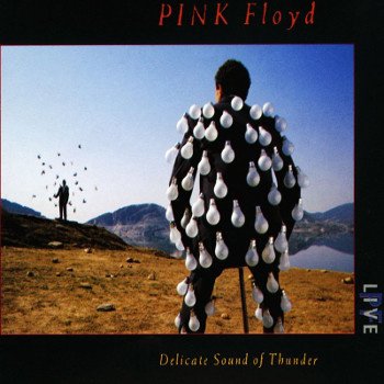 pink_floyd_delicate_sound_of_thunder_2lp