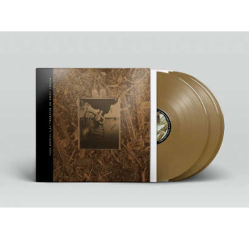pixies_cmon_pilgrim_-_its_surfer_rosa_-_bronze_gold_vinyl_2lp