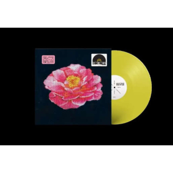 post_malone_post_malone_tribute_to_nirvana_rsd_vinyl