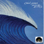eddie_vedder_save_it_for_later_room_at_the_top_rsd_vinyl