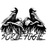 sorte_fugle_sorte_fugle_ii_lp_1135497632