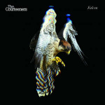 the_courteeners_falcon_lp