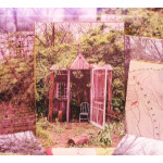 the_marcus_king_band_carolina_confessions_cd