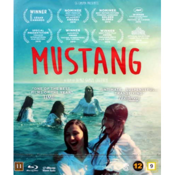 bluray_mustang_84_gram_50kr