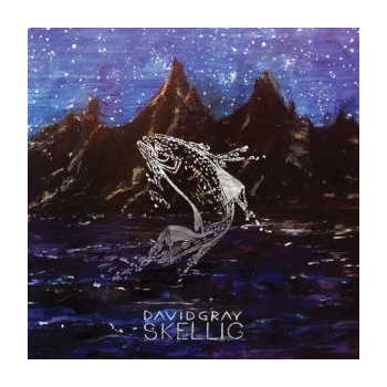 david_gray_skellig_lp