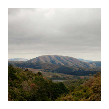 dirty_projectors_and_bjork_mount_wittenberg_orca_-_rsd_23_lp
