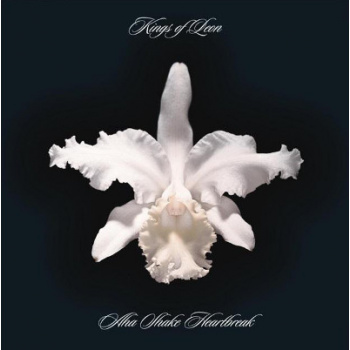 kings_of_leon_aha_shake_heartbreak_-_music_on_vinyl_2lp