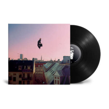 mas_vi_ses_lp_1361102011