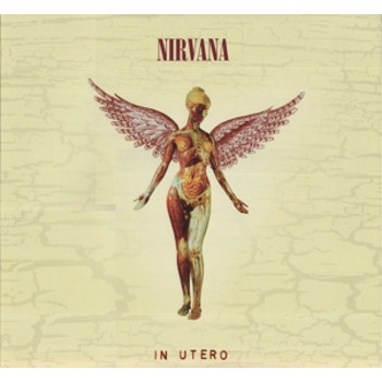 nirvana_in_utero_-_20th_anniversary_super_deluxe_edition_3lp_1661318136