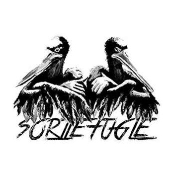 sorte_fugle_sorte_fugle_ii_lp_1135497632