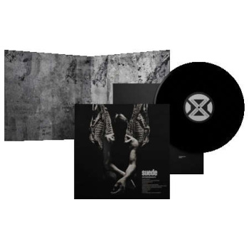 suede_antidepressants_lp_526356625