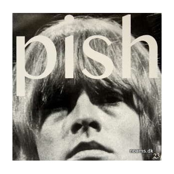 the_brian_jonestown_massacre_mini_album_thingy_wingy_vinyl