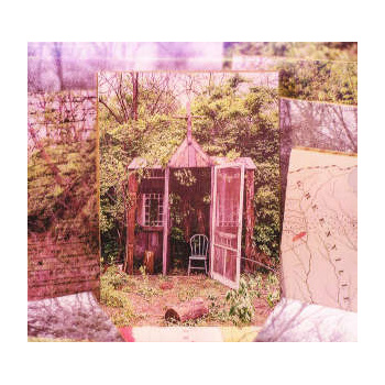 the_marcus_king_band_carolina_confessions_cd