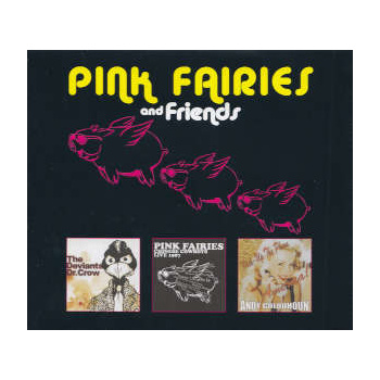 various_pink_fairies_and_friends_cd