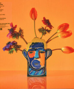 Alexis Taylor: Beautiful Thing (LP)
