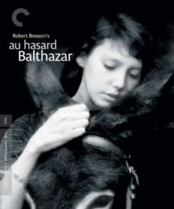 Au Hasard Balthazar - The Criterion Collection (Blu-Ray)