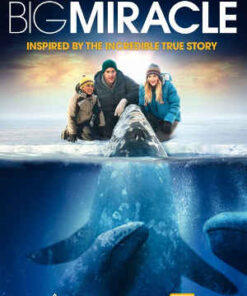 Big Miracle (DVD)