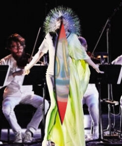 Björk: Vulnicura Strings (2LP)