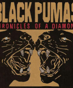 Black Pumas: Chronicles of a Diamond - Exclusive Red Vinyl (LP)