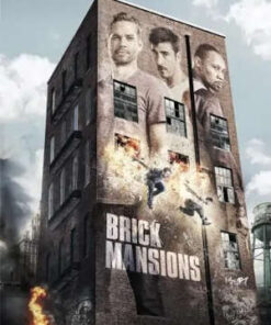 Brick Mansions (DVD)