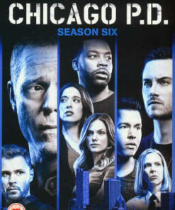 Chicago P.D. - Season 6 (DVD)
