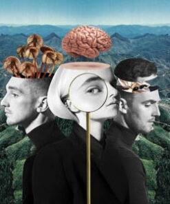 Clean Bandit: What Is Love? - Deluxe (CD)