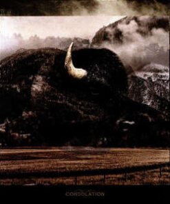 Consolation: Heartland (CD)