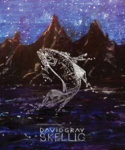 David Gray: Skellig (LP)