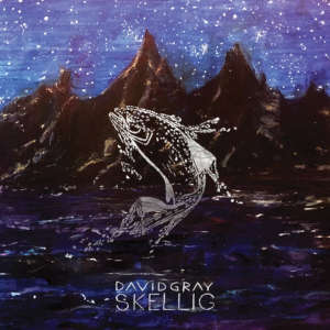 David Gray: Skellig (LP)