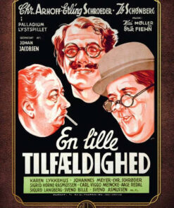 En Lille Tilfældighed (DVD)