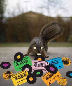 Evidence: Squirrel Tape Instrumentals Vol.1 (LP)