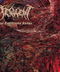 Feculent: The Grotesque Arena (LP)